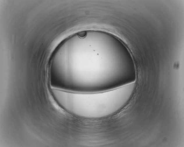 X0000089661515200706210719
