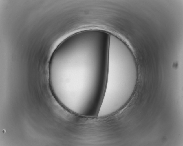 X0000089661516200706210719