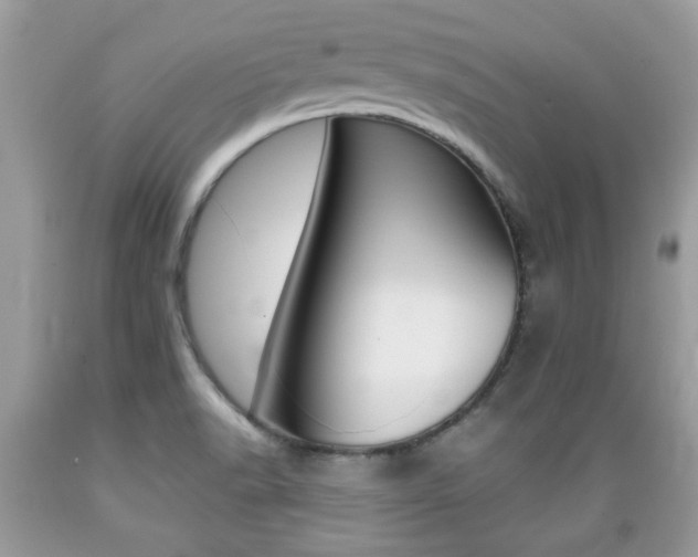 X0000089661518200706210719