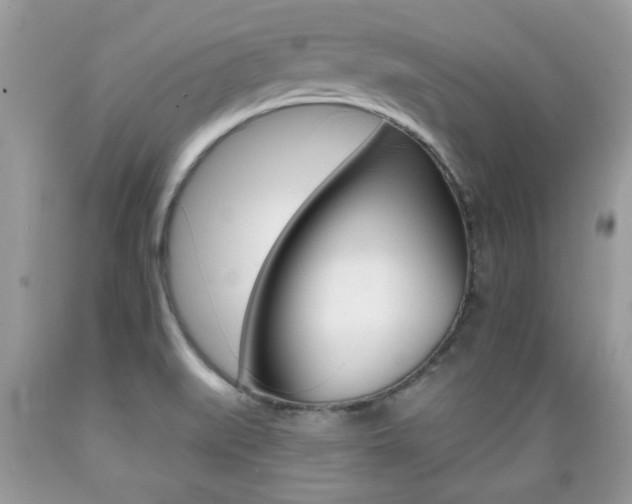 X0000089661519200706210719