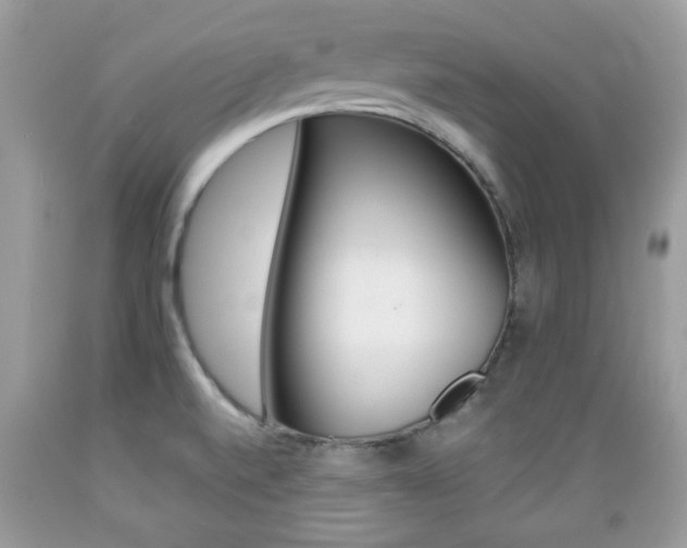 X0000089661520200706210719