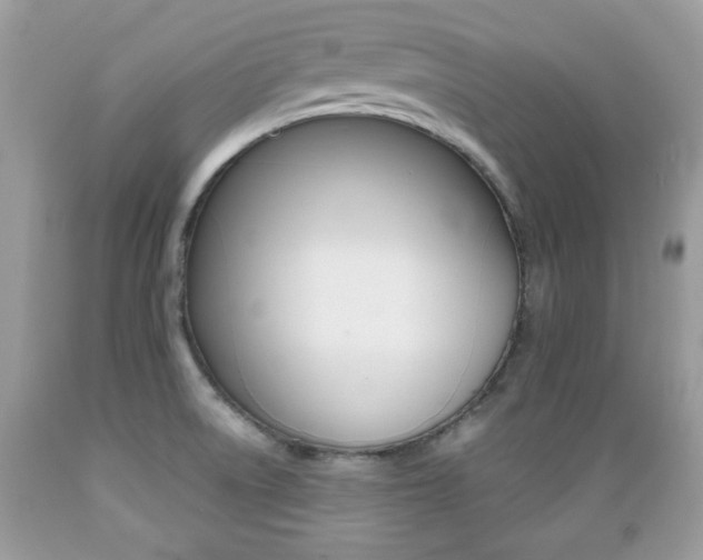 X0000089661522200706210719