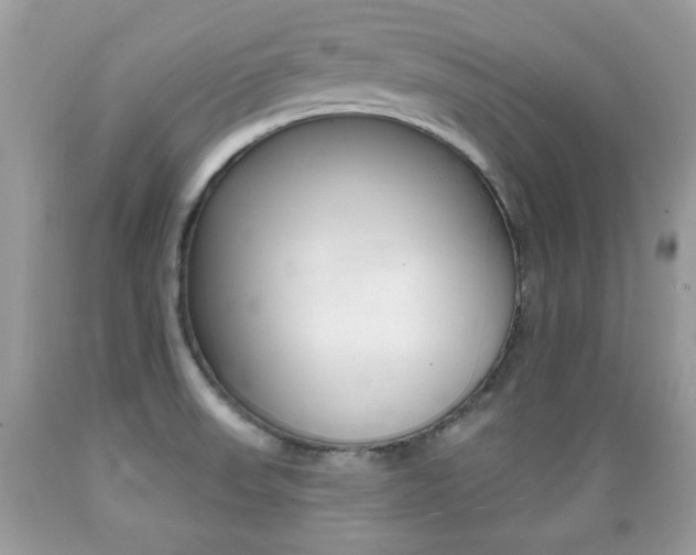 X0000089661523200706210719