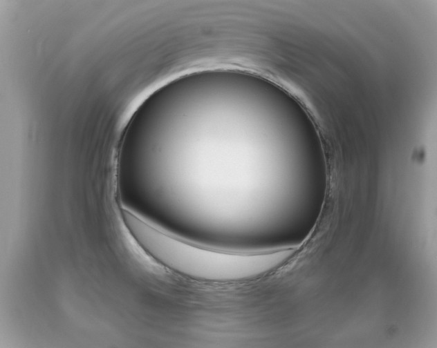 X0000089661524200706210719