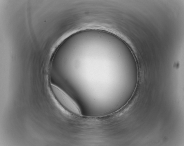 X0000089661525200706210719
