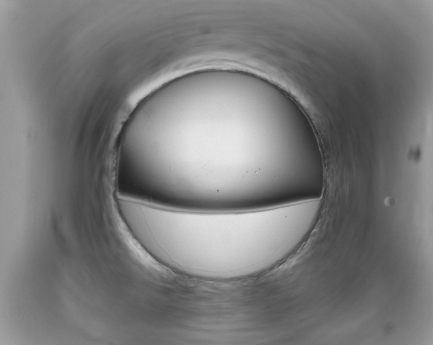 X0000089661526200706210719