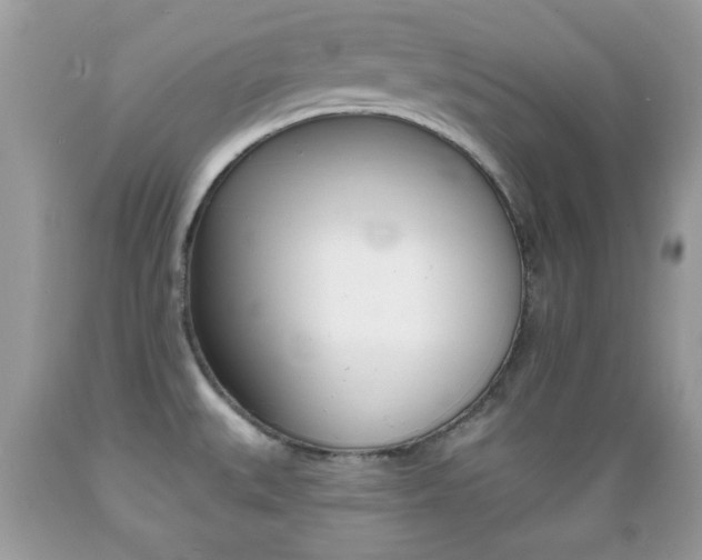 X0000089661527200706210719