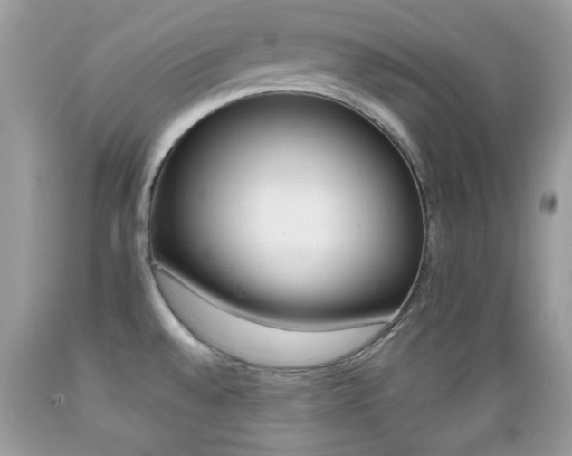 X0000089661528200706210719