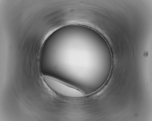 X0000089661529200706210719