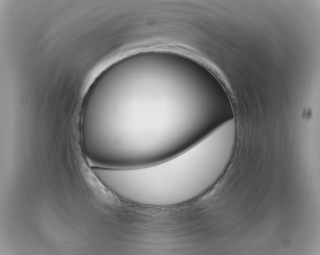 X0000089661530200706210719