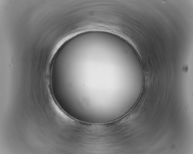 X0000089661531200706210719