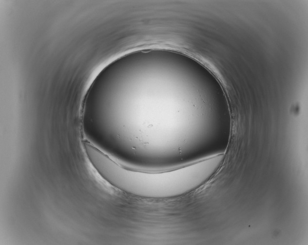 X0000089661532200706210719