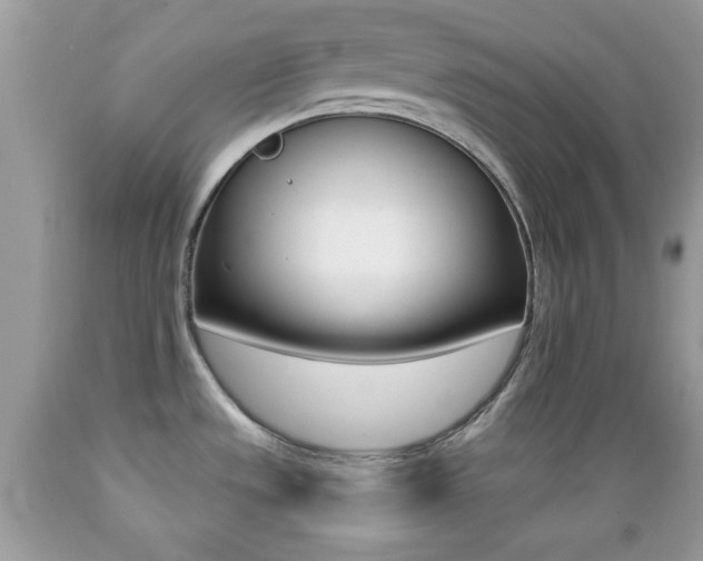 X0000089661533200706210719
