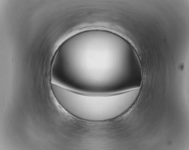X0000089661534200706210719