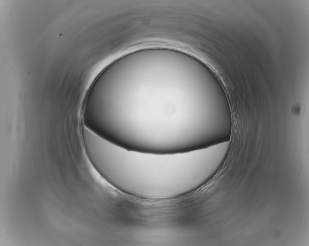 X0000089661535200706210719