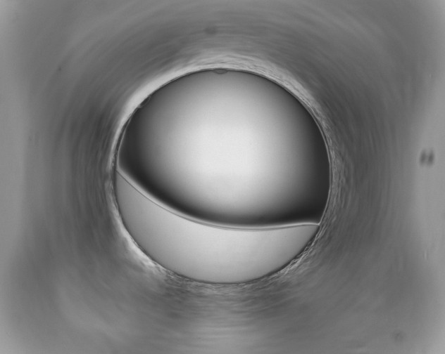 X0000089661536200706210719