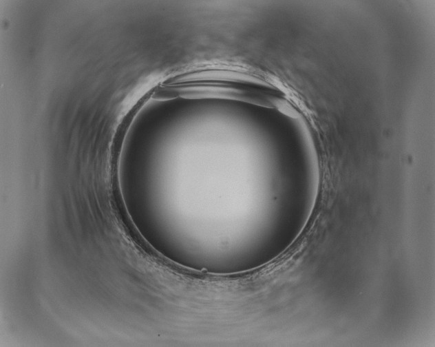 X0000089660008200706211140