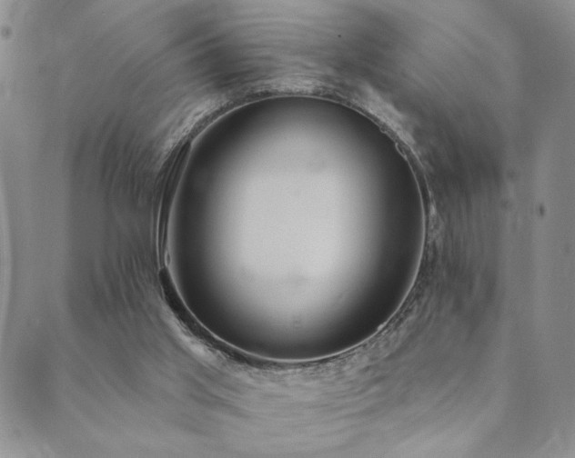X0000089660013200706211140