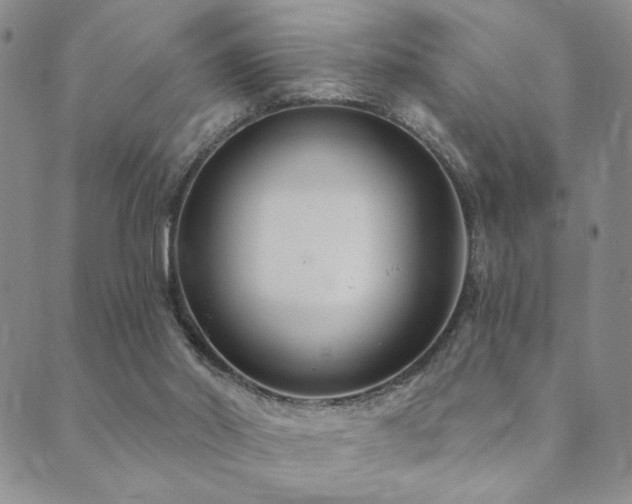 X0000089660014200706211140