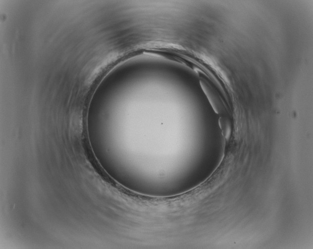 X0000089660015200706211140