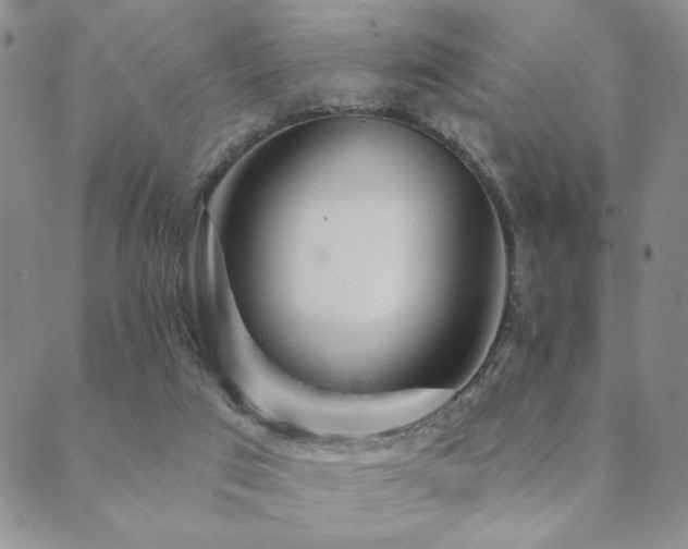 X0000089660017200706211140