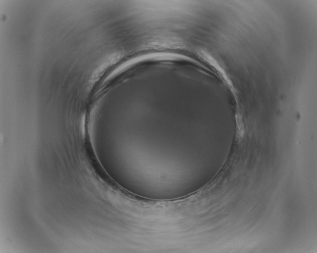 X0000089660019200706211140