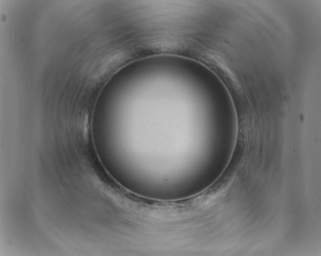 X0000089660024200706211140