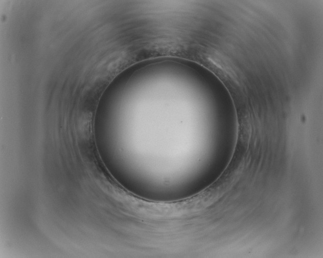 X0000089660034200706211140