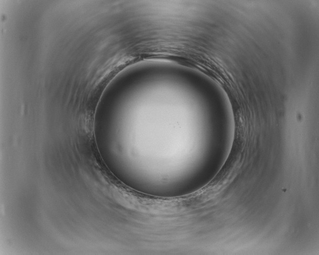 X0000089660044200706211140