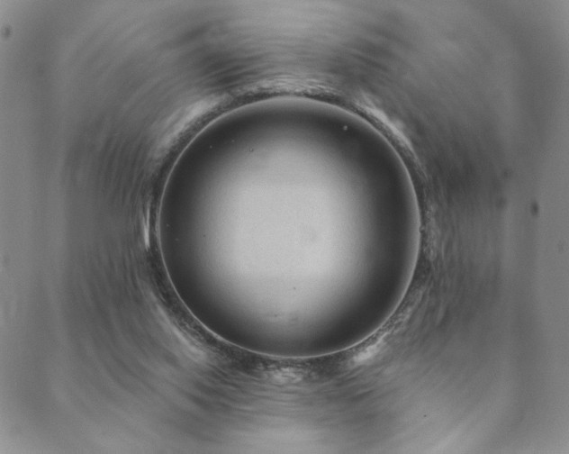X0000089660062200706211139