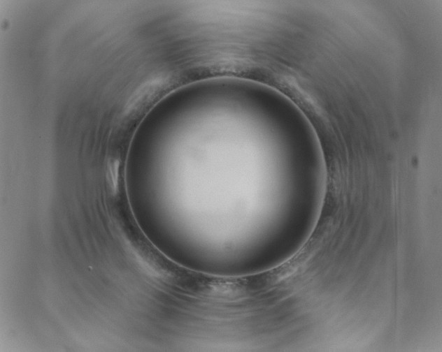 X0000089660070200706211139