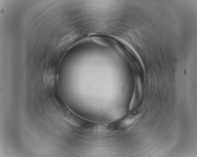 X0000089660080200706211139