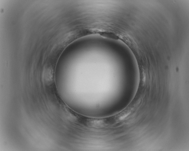 X0000089660081200706211139