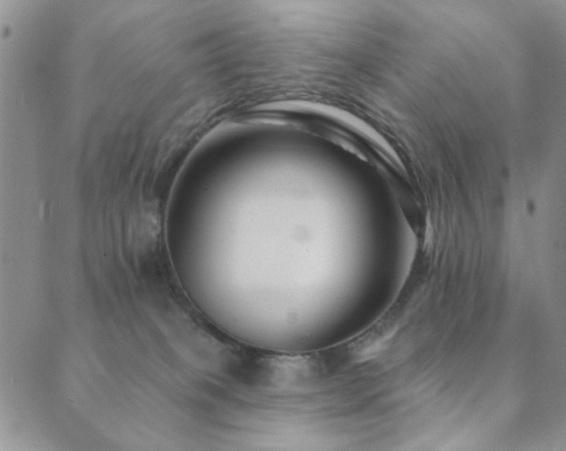 X0000089660085200706211139