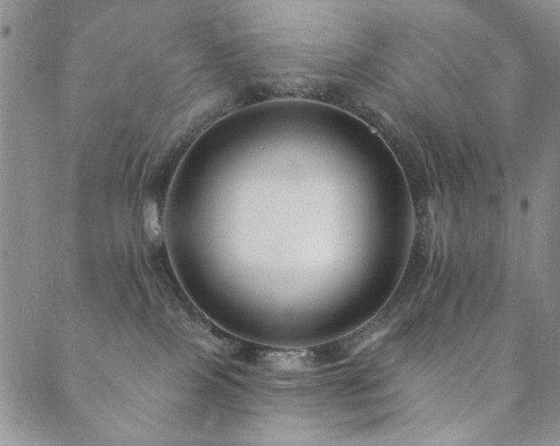 X0000089660089200706211139