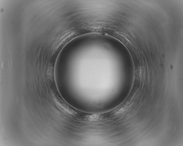 X0000089660092200706211139
