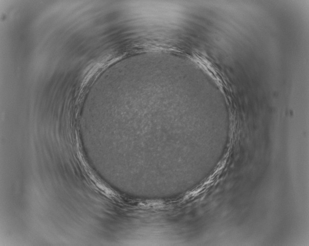 X0000089660097200706211139