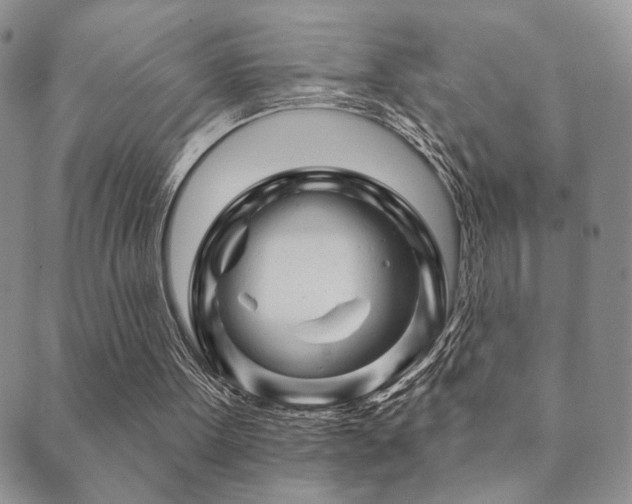 X0000089660099200706211139