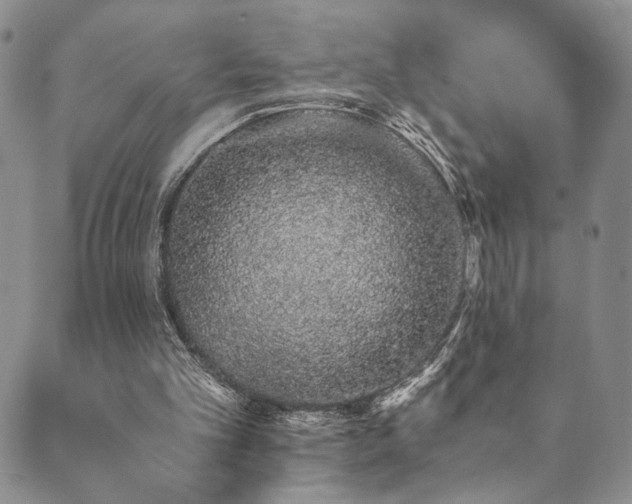X0000089660101200706211139