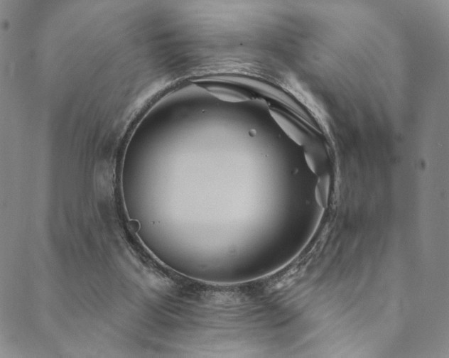 X0000089660107200706211139