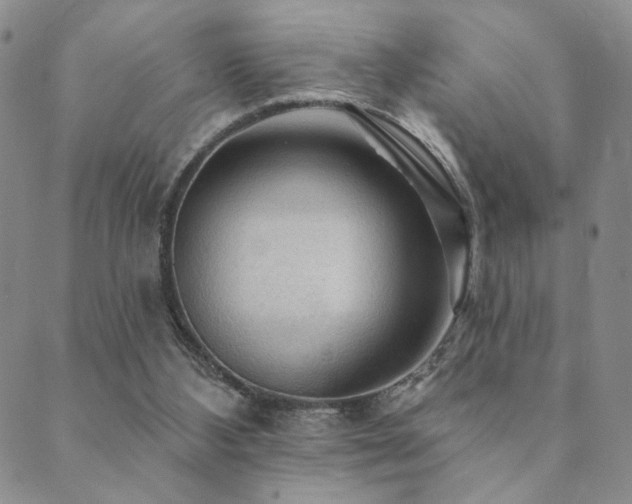 X0000089660108200706211139