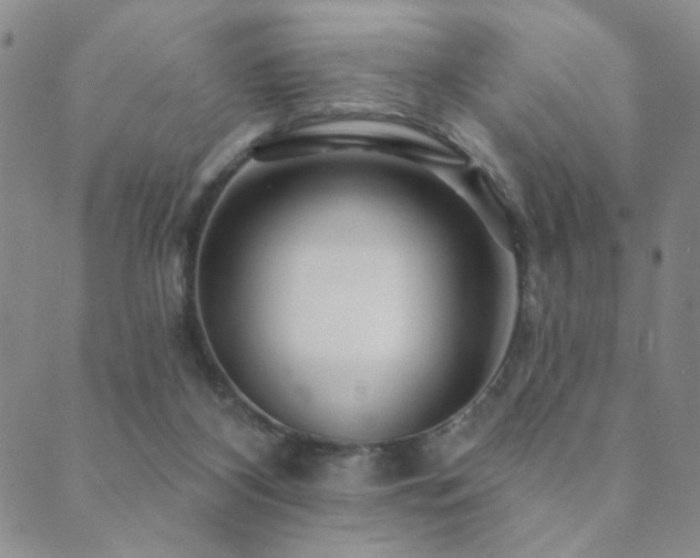 X0000089660116200706211138