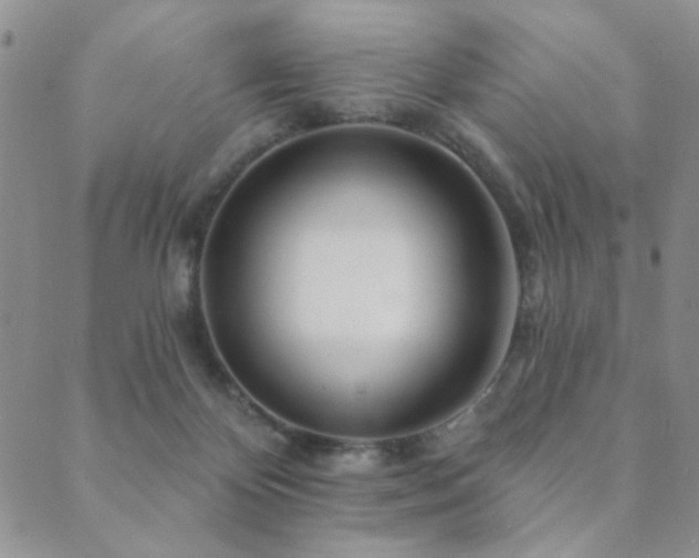X0000089660124200706211138