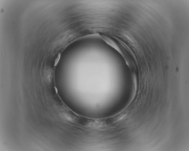 X0000089660125200706211138