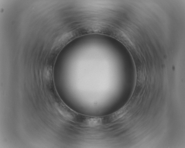 X0000089660126200706211138