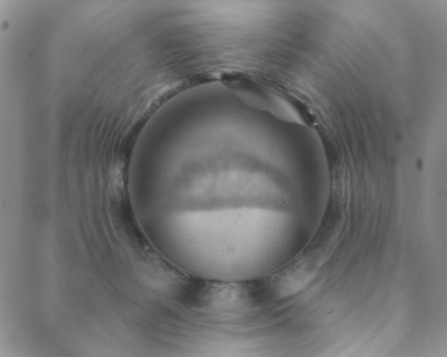 X0000089660127200706211138