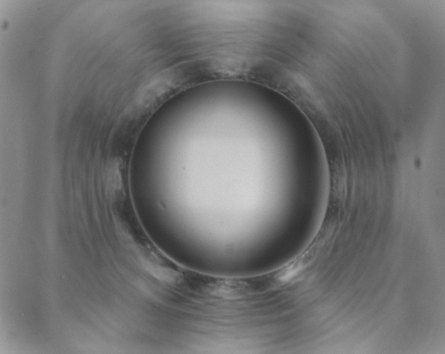 X0000089660128200706211138