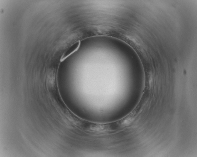 X0000089660129200706211138