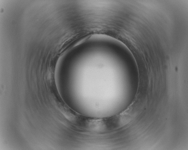 X0000089660132200706211138