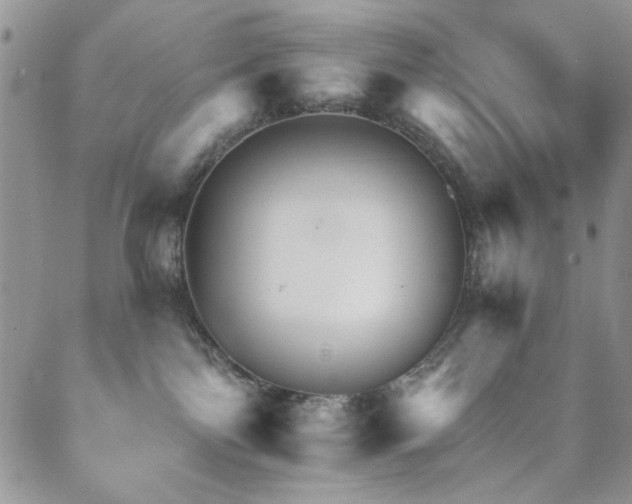 X0000089660138200706211138